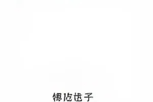 灯下对谈录主持人提问顺序还原配图